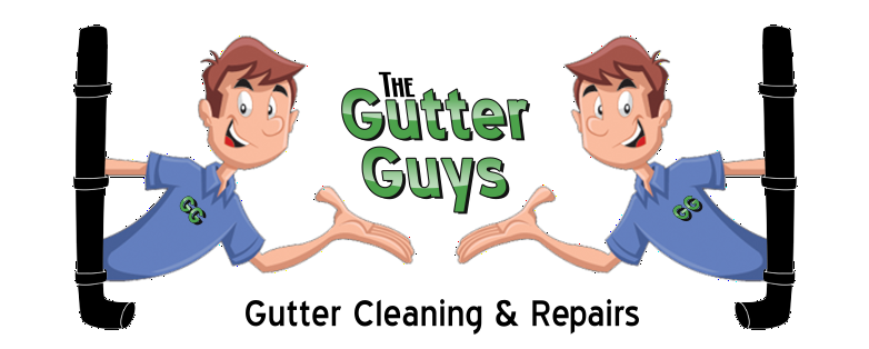 Gutter Cleaning & Repairs | Sleaford | Lincolnshire